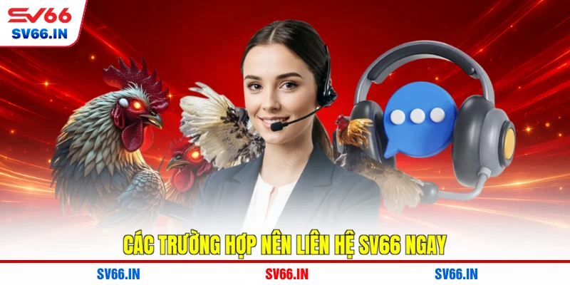 Các trường hợp nên liên hệ SV66 ngay