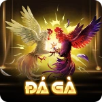 Đá Gà SV66