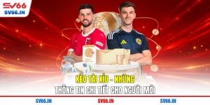 Kèo Tài Xỉu - Những Thông Tin Chi Tiết Cho Người Mới