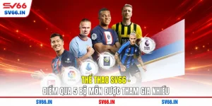 Thể Thao SV66 - Điểm Qua 5 Bộ Môn Được Tham Gia Nhiều