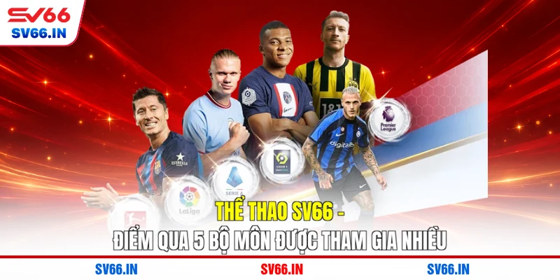 Thể Thao SV66 - Điểm Qua 5 Bộ Môn Được Tham Gia Nhiều